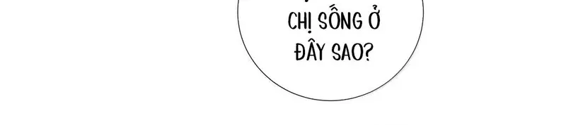 Tả Anh Tiểu Thư Chapter 28 - 36