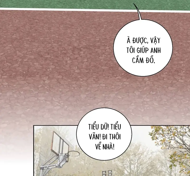 Tả Anh Tiểu Thư Chapter 33 - 38