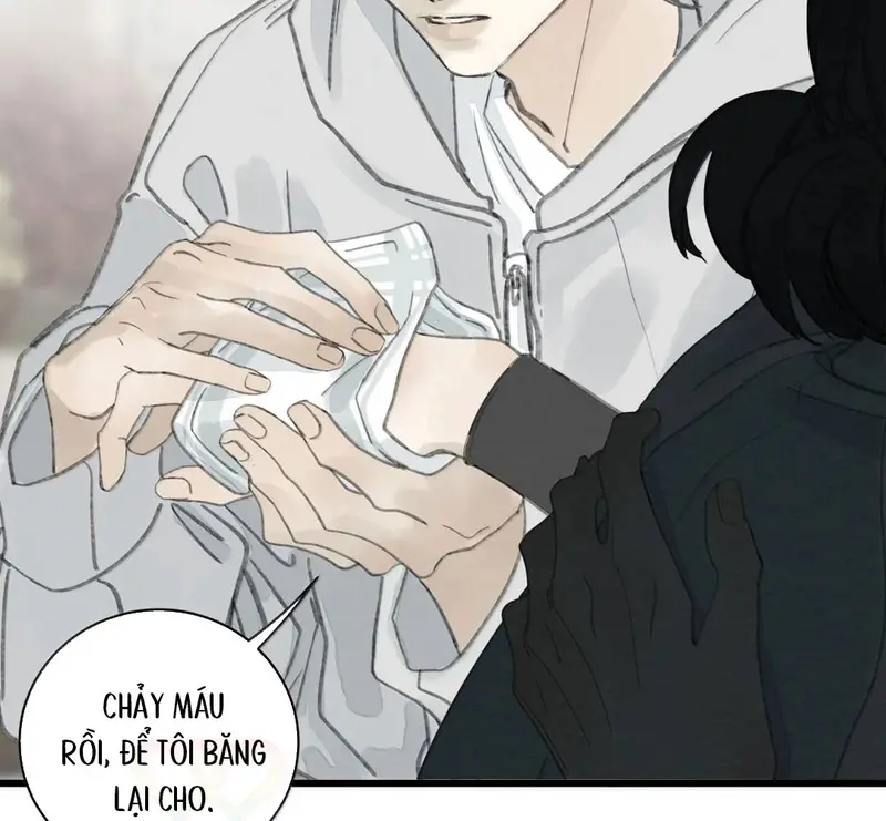 Tả Anh Tiểu Thư Chapter 33 - 51