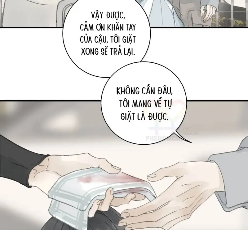 Tả Anh Tiểu Thư Chapter 33 - 61