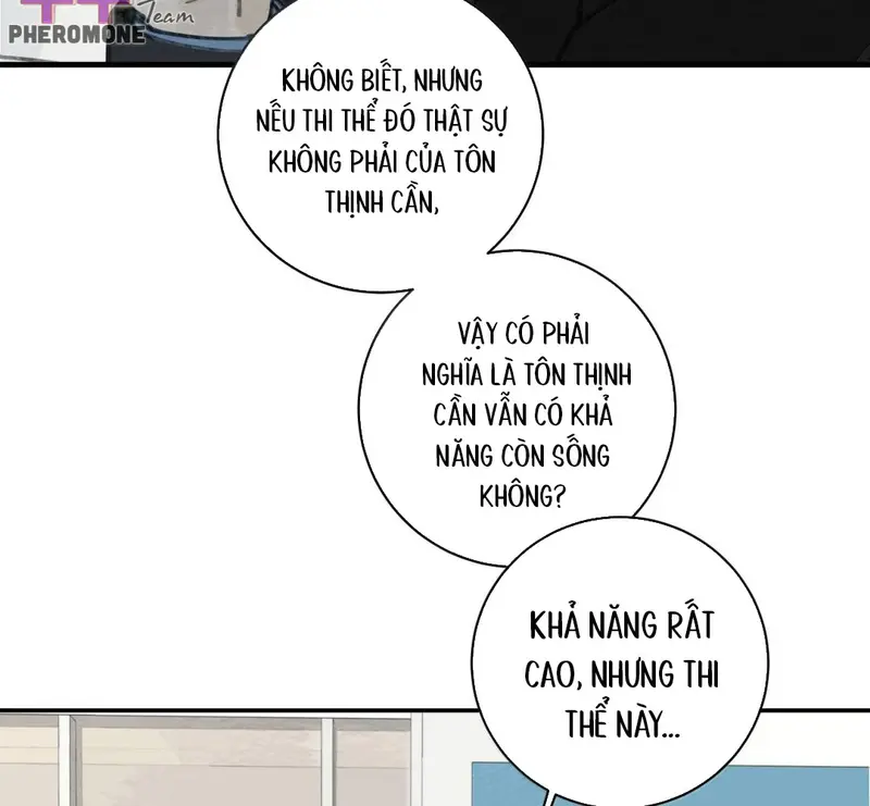 Tả Anh Tiểu Thư Chapter 33 - 16